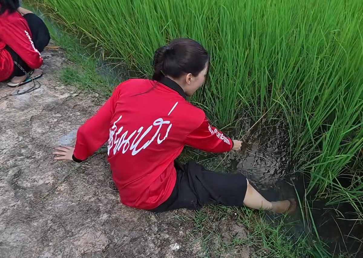 nnonnnnnnnn's tweet photo. เหมาะจริงๆ :-p
#puinoonbint https://t.co/FXd7ZwB84r