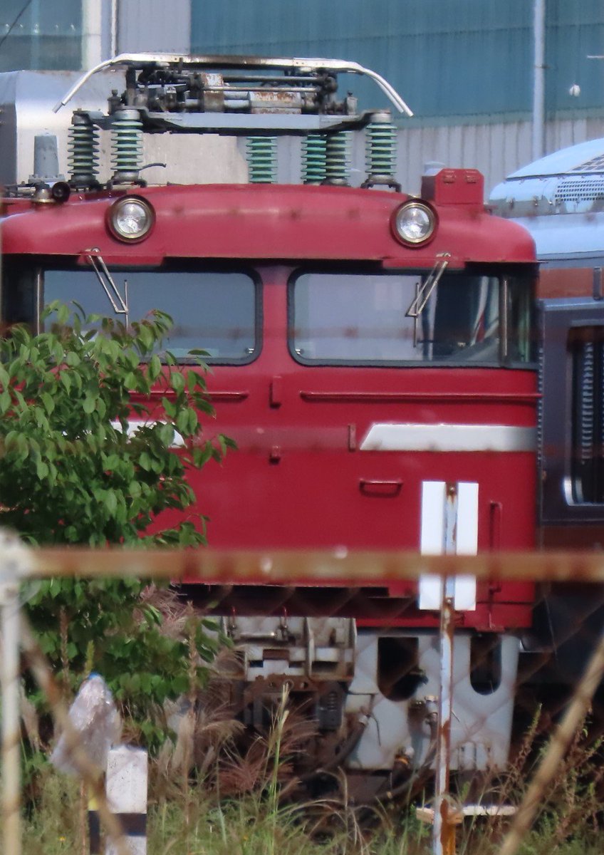 583hatukari81's tweet photo. 来年もクハネ583-17は残りますか？とJR社員に聞いたら残らないと発言した。ショックを受けました。
EF81やEF64も順次解体して行く事を言われ言葉が出なかった。 https://t.co/ulZ2n6knGM