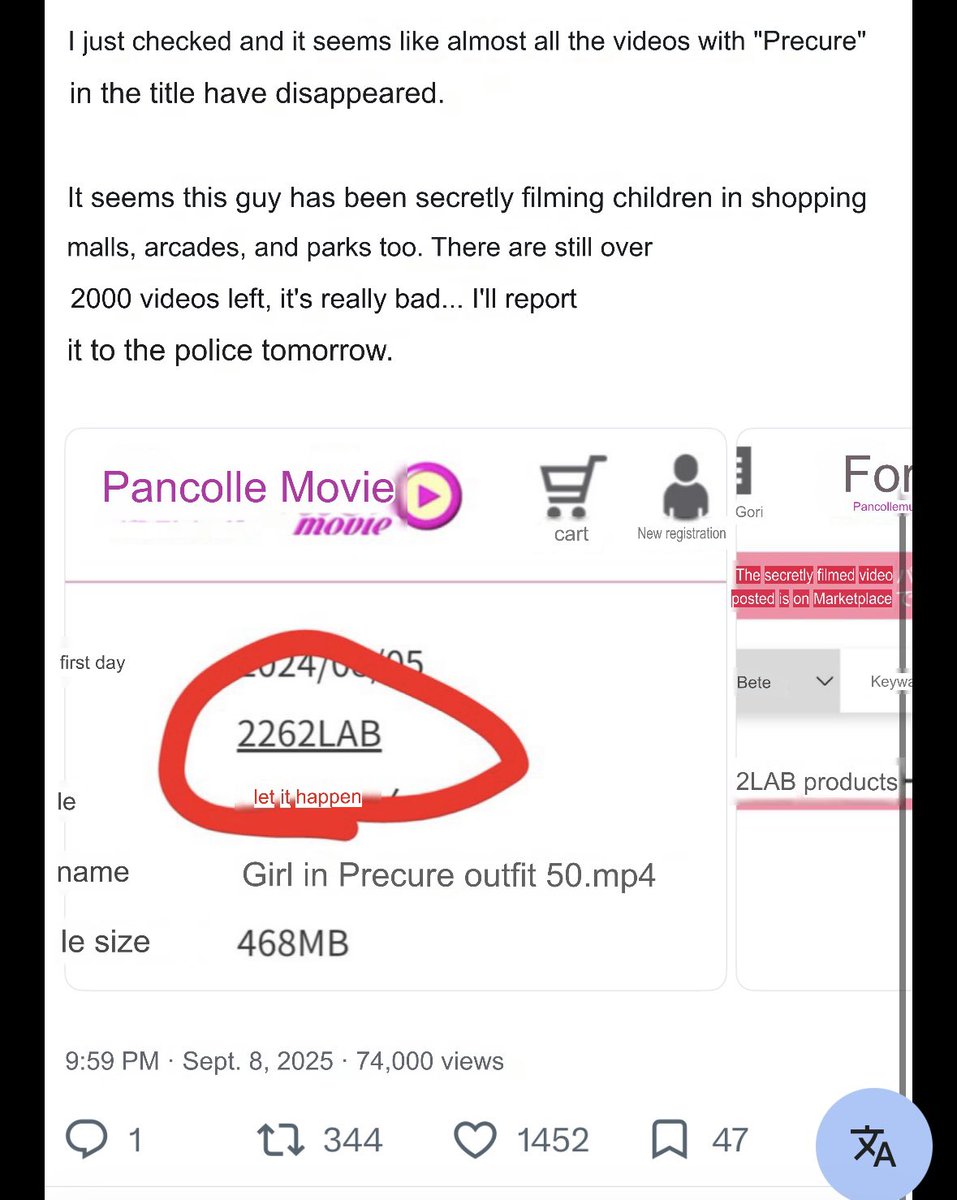 wmyg7d's tweet photo. it seems adult male fan who attend Precure shows are secretly filming kids and selling the video on Japanese p0rn site..
I agree that adult male fans should be restricted or banned from these venues. https://t.co/TgUEbBi82s