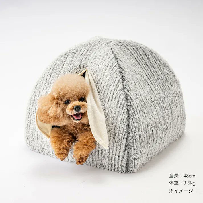 cainz_san's tweet photo. カインズ、犬の巣の追求が止まりません。
ほぼ犬用のかまくらを作りました。

・自分だけの小さなお部屋がほしい
・冷たい風はなるべく入れたくない
・ぬくもりを大切にしたい

そんな犬さんのための「電気のいらない保温テントベッド」です。

本体の屋根と底にあるアルミのシートと長めのカーテンで体温を逃がしにくい構造です。

電気を使わずにぬくぬくできる秋冬の新居をぜひ！