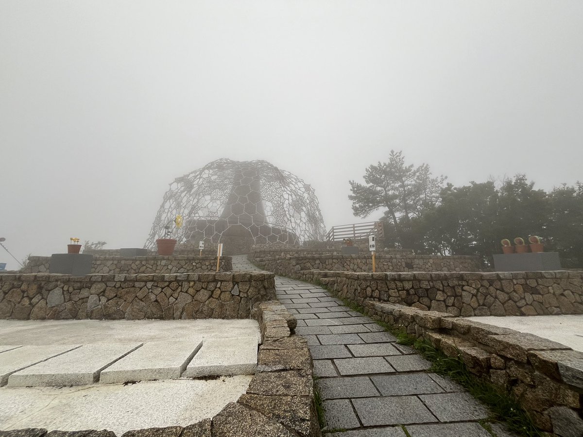 ut4u_uta's tweet photo. 待ち時間暇だから、朝班バスツアー今あげ

この日ドカ雨で、六甲山向かいながら覚悟決めてた記憶ある꒰ᐡ- ‧̫ -ᐡ꒱笑 https://t.co/EIm7IghD3D