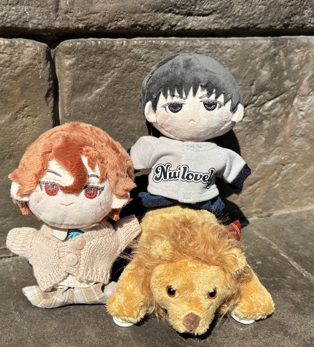 giza_6th's tweet photo. 🦁寮のライオンさんお迎えしたさすがに😊💕💕 https://t.co/WLkokN2JxS