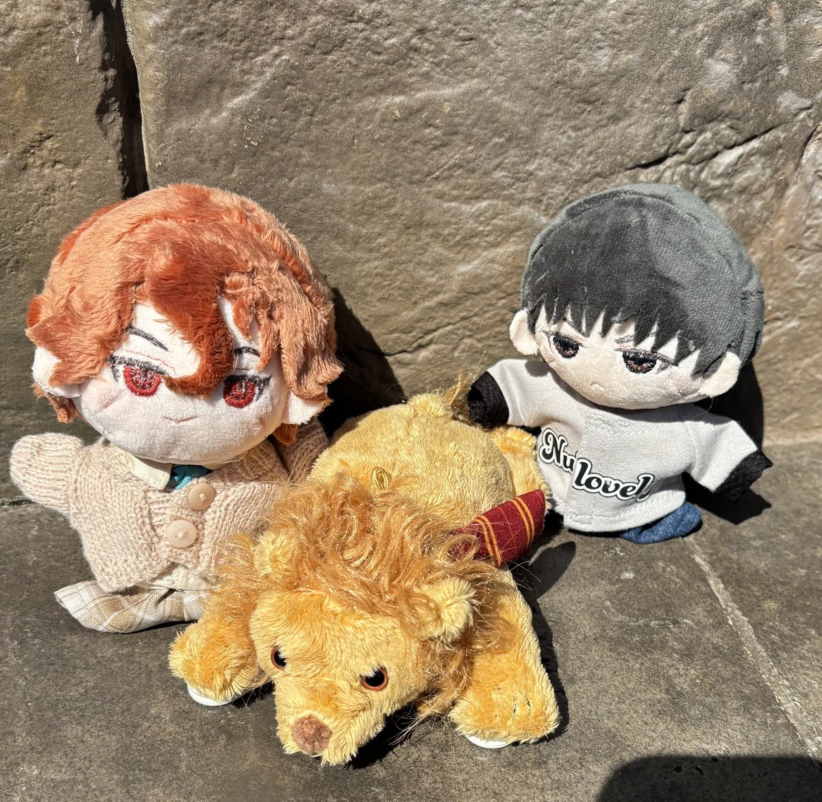 giza_6th's tweet photo. 🦁寮のライオンさんお迎えしたさすがに😊💕💕 https://t.co/WLkokN2JxS