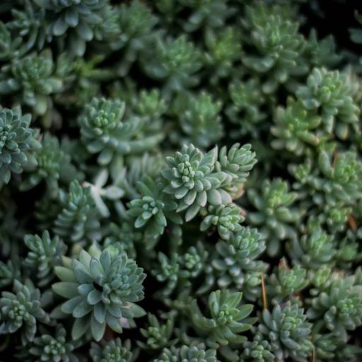 mrmgde tweet picture