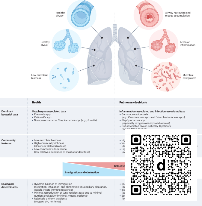 NatureRevMicro's tweet photo. New online! The role of the respiratory microbiome in acute and chronic respiratory diseases dlvr.​it/TVs01M https://t.co/yngzIqVO8F