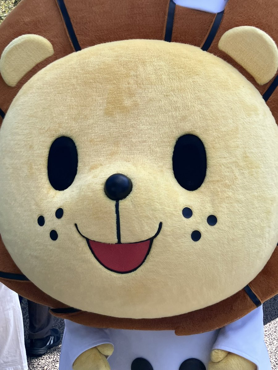 hashitaku's tweet photo. 迫り来るれおっくんをどうぞ🦁！
 #yokohamafc #れおっくん #leoc https://t.co/F8ld8SN7ja