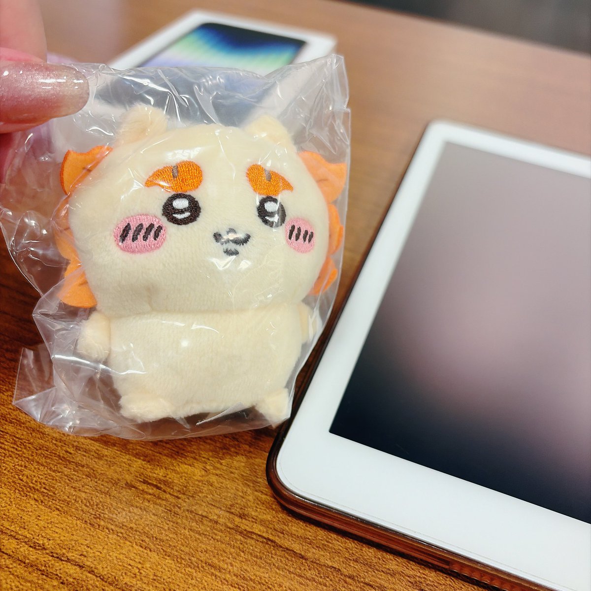 eigamitaidaroi's tweet photo. 昨日ヨドバシのガチャガチャで得た♩ https://t.co/H3f2rzUbgT