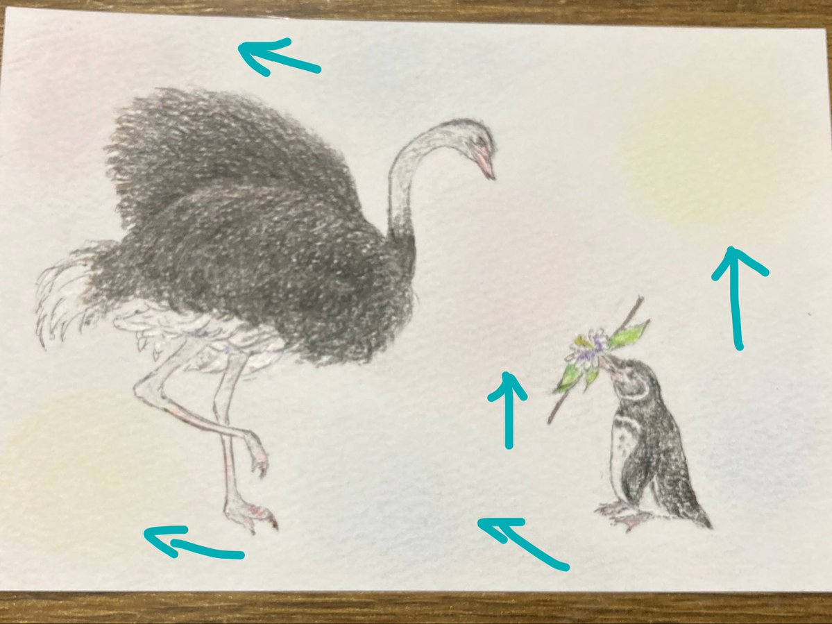 akapurin219271's tweet photo. 私はほとんどの作品を色鉛筆で描いています✍️
その中でふんわりとぼかした感じを出すのに、鉛筆の芯を削ってティッシュや綿棒などで擦って表現する事があります
その時に使うのが既に折れてしまった芯です
色鉛筆は削る時に芯が折れてしまう事がありますので、それを潰して使っています
ケチンボ作戦😅 https://t.co/CN0oDKKSwv