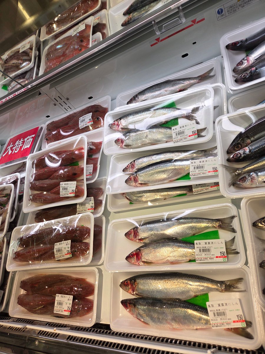 ni_kirari's tweet photo. 【鮮魚コーナー】
🔹シイラ、カンパチ、かわはぎ
🔹かます、ドギ
🔹沖ギス、サバ
🔹にしん、ほうぼう
など入荷しております✨

※鮮魚の価格は日によって異なります。

ぜひ、お立ち寄りくださいませ😊

#道の駅西いなば気楽里 #道の駅 #鳥取県 #鳥取市 #青谷町 #鹿野町 #気高町 https://t.co/CLBYV9DJjo