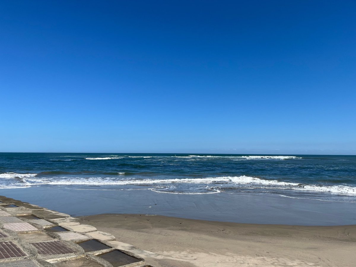 shidakao's tweet photo. 今海までの散歩から戻ってきました
今日も今日も快晴
歩いてると汗ばむくらい
空は真っ青海ももっと真っ青
波はちょっと高かったけど
台風の影響と言うほどでも
途中の道端にはいい香りが
キンモクセイがまだ咲いてました
近場散歩では9月に終わってたけど
なんか2回チャンスあるみたい
良かった❗️ https://t.co/BmYh9lfy3F