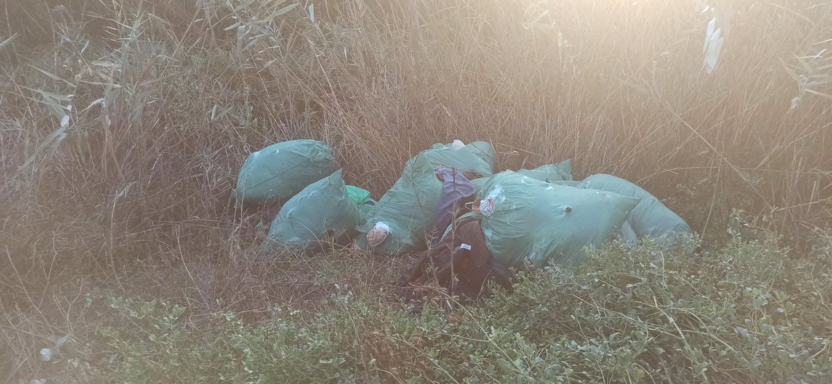 pedropastor66's tweet photo. Sacos de ropa en el margen derecho del Río Segura en el kilómetro 3 , carril Ortuño, Murcia.
@AytoMurcia @MurciaPolicia @chsriosegura https://t.co/k0EWxUjBnj