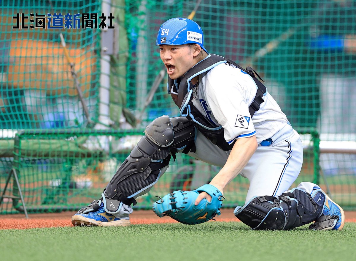 photo_doshin's tweet photo. #北海道日本ハムファイターズ は10日からクライマックスシリーズ(CS)の戦いへ！ファーストステージはベルーナドームで西武と対戦します。選手たちは生き生きとした表情で試合前練習に臨みました。 #万波中正 #田宮裕涼 #細川凌平 #五十幡亮汰 #ドミれ #lovefighters 

▽ファイターズの記事はこちらから▽
https://t.co/VCUBr42VFp