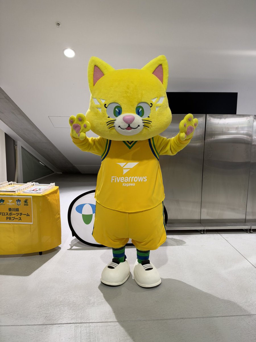 konntumi's tweet photo. 今日のアロニャー。
れぶにゃんぬいを持っていただきました。
#香川ファイブアローズ
#アロニャー
#れぶにゃん
#bリーグマスコット https://t.co/dp24gVWzyd