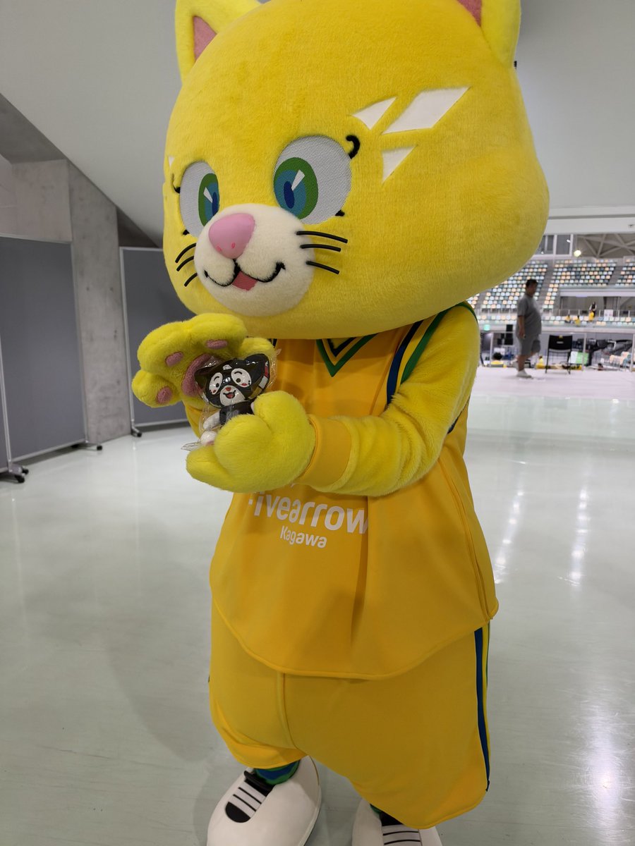 konntumi's tweet photo. 今日のアロニャー。
れぶにゃんぬいを持っていただきました。
#香川ファイブアローズ
#アロニャー
#れぶにゃん
#bリーグマスコット https://t.co/dp24gVWzyd
