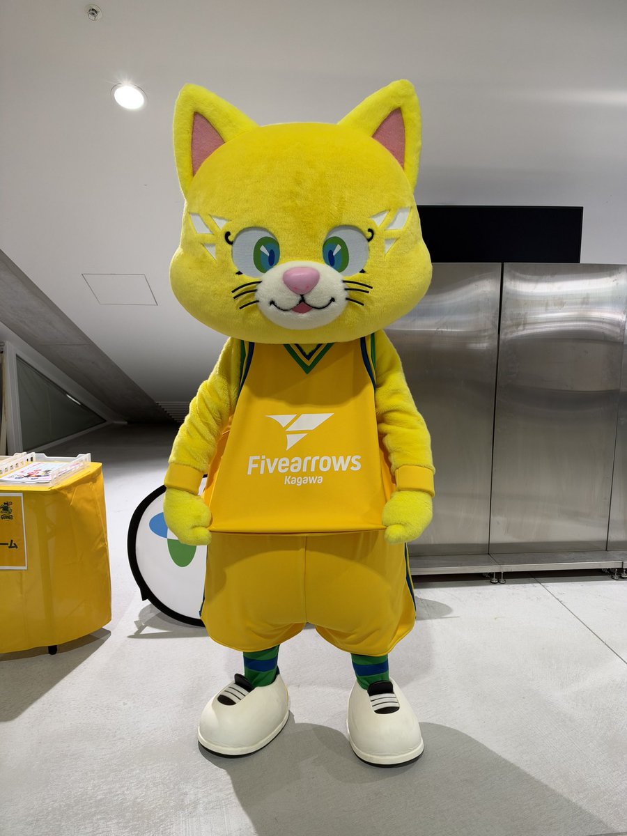 konntumi's tweet photo. 今日のアロニャー。
れぶにゃんぬいを持っていただきました。
#香川ファイブアローズ
#アロニャー
#れぶにゃん
#bリーグマスコット https://t.co/dp24gVWzyd