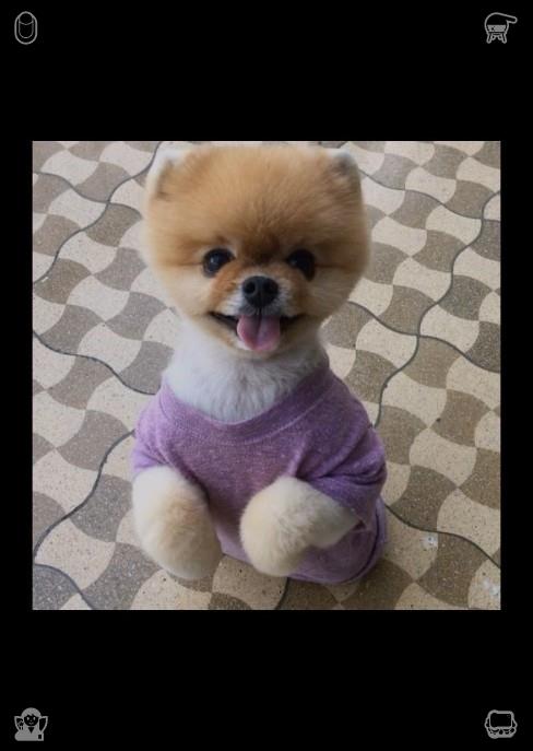 KeringTamban's tweet photo. This is the story of love, of friendship, of loyalty, of pawprints on the heart, a story that will be cherished, told, and remembered, for all time.👒Forgiveness frees your heavy heart. https://t.co/Ri6VCPDe2V
