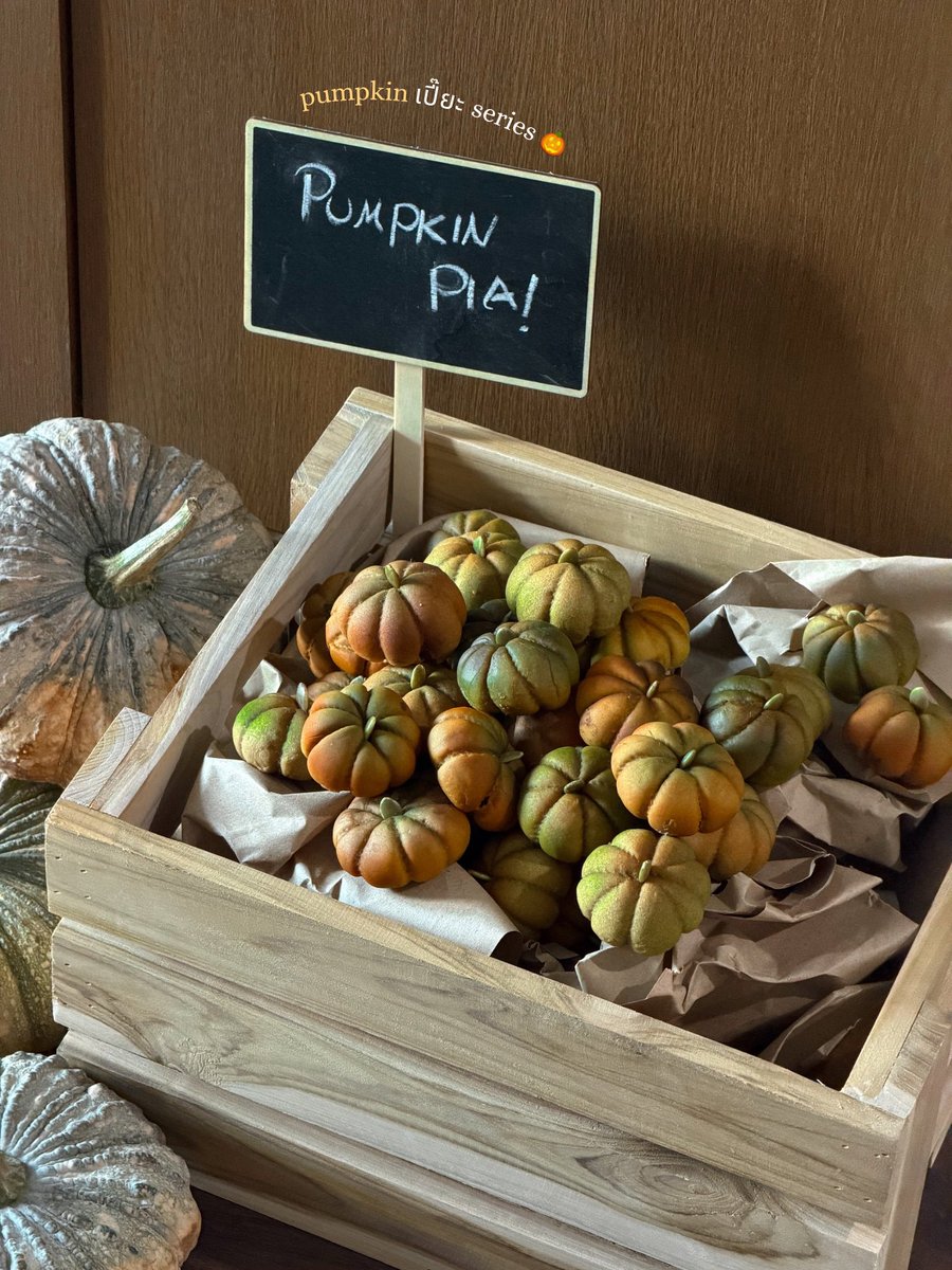 navoribkk's tweet photo. NEW! ขนมเปี๊ยะ Pumpkin Series 🎃
ต้อนรับเดือน Halloween ครั้งนี้มาในรูปแบบฟักทองลูกจิ๋ว ทั้ง 2 รส

🎃🧀Pumpkin Cream Cheese
เนื้อฟักทองนุ่มๆ เนื้อแน่นจากฟักทองที่กวนจนสุก รสชาติหวานมัน เติมความหวานอมเปรี้ยว ด้วยครีมชีสสดจากนิวซีแลนด์🇳🇿 

🎃🍡Pumpkin Mochi
เราใช้ฟักทองแก่ สีสวย เนื้อเนียนแน่น เพิ่มความหนึบหนับด้วยเนื้อโมจินุ่มๆ รสหวานแบบธรรมชาติ หอมฟักทองอ่อนๆ พร้อมความหวานนุ่มของโมจิ

🛵 สั่งได้ทาง GRAB / Line Shopping
📍 Central Rama9 ชั้น 1 Eats and Treats Zone ( ฝั่ง Department store 👀 )
🗓️ วันนี้ - 30 November 

#NAVORI #NAVORIBKK