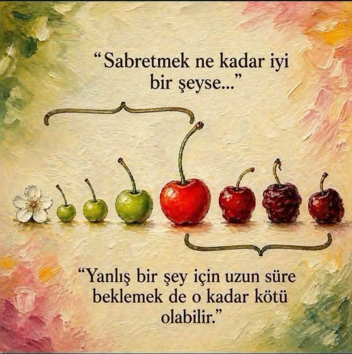 selvasadikoglu tweet picture