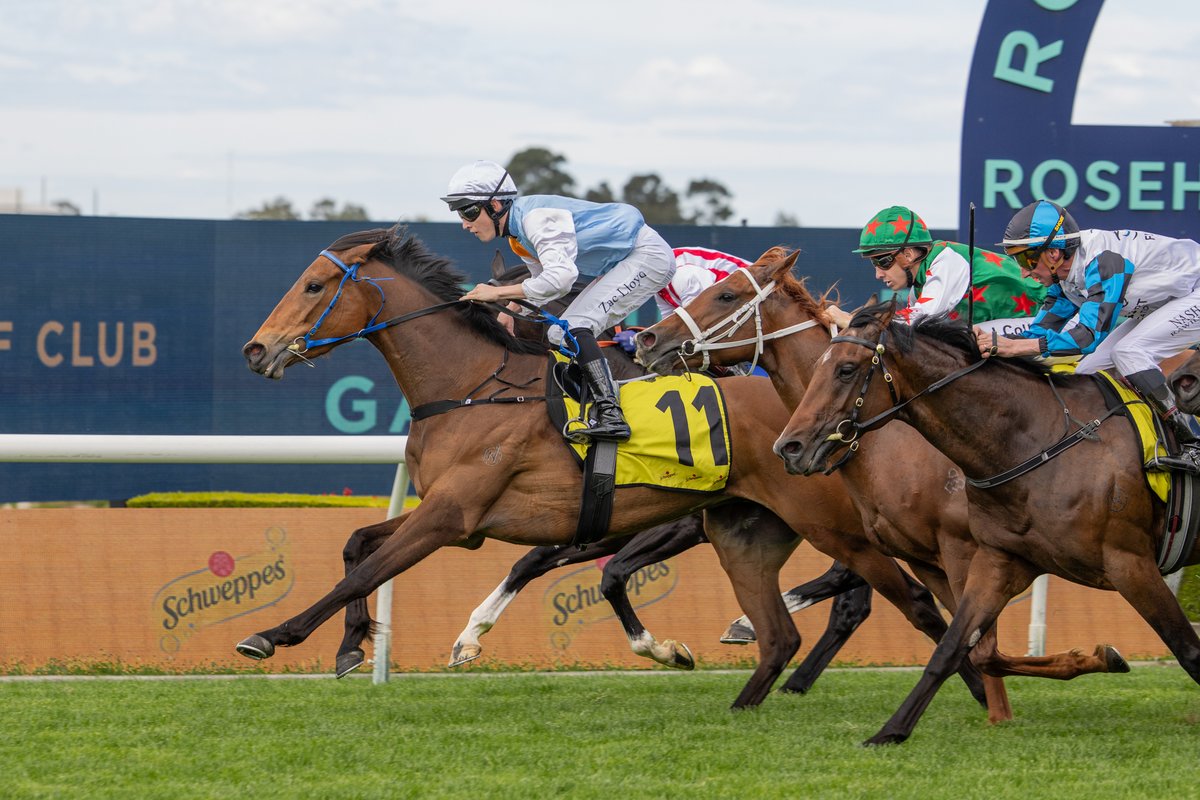 inglis_sales's tweet photo. PROXIMA DEA (Tarzino) makes it 4 starts for 4 wins with another hard-fought victory in the G3 Gloaming Stakes @aus_turf_club for @DPayneRacing. The 3YO filly is a $300k #InglisEaster buy for @cmaherracing from @NorthBloodstock. Proxima Dea defeated Wonka in an Inglis grads quinella.