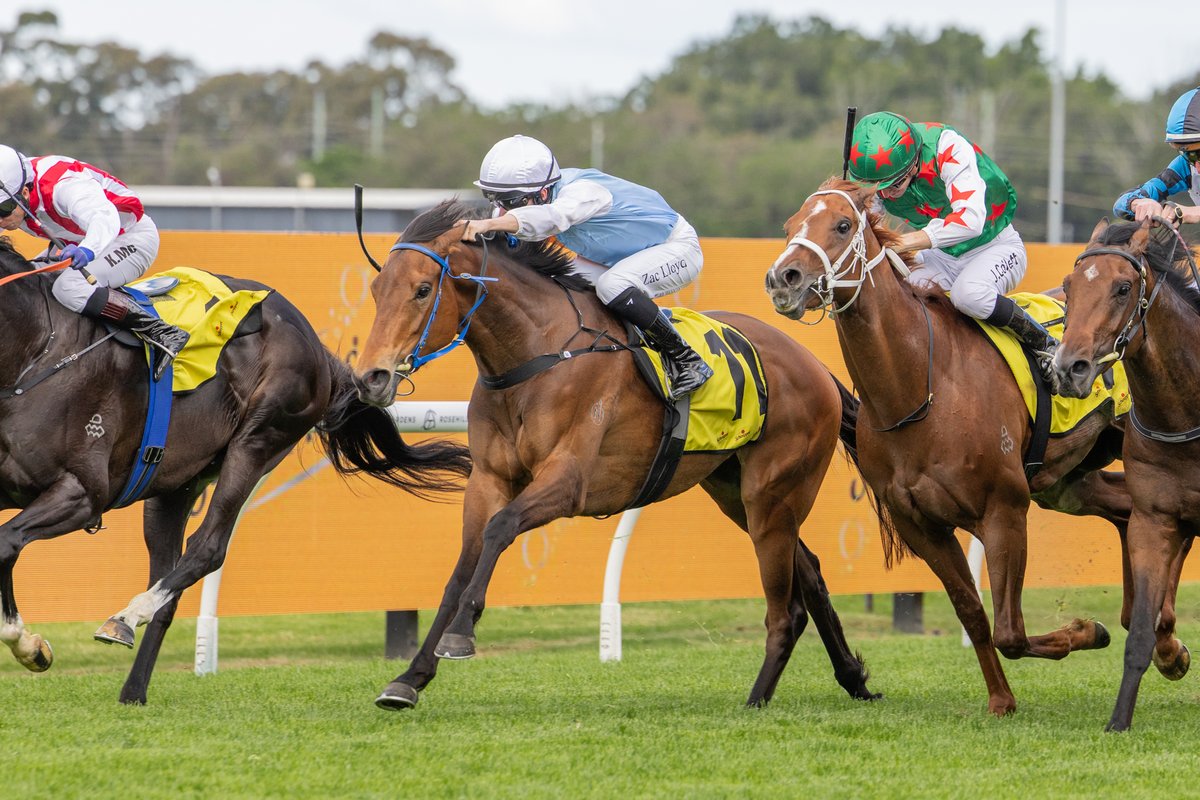 inglis_sales's tweet photo. PROXIMA DEA (Tarzino) makes it 4 starts for 4 wins with another hard-fought victory in the G3 Gloaming Stakes @aus_turf_club for @DPayneRacing. The 3YO filly is a $300k #InglisEaster buy for @cmaherracing from @NorthBloodstock. Proxima Dea defeated Wonka in an Inglis grads quinella.