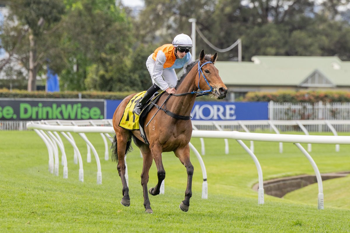 inglis_sales's tweet photo. PROXIMA DEA (Tarzino) makes it 4 starts for 4 wins with another hard-fought victory in the G3 Gloaming Stakes @aus_turf_club for @DPayneRacing. The 3YO filly is a $300k #InglisEaster buy for @cmaherracing from @NorthBloodstock. Proxima Dea defeated Wonka in an Inglis grads quinella.