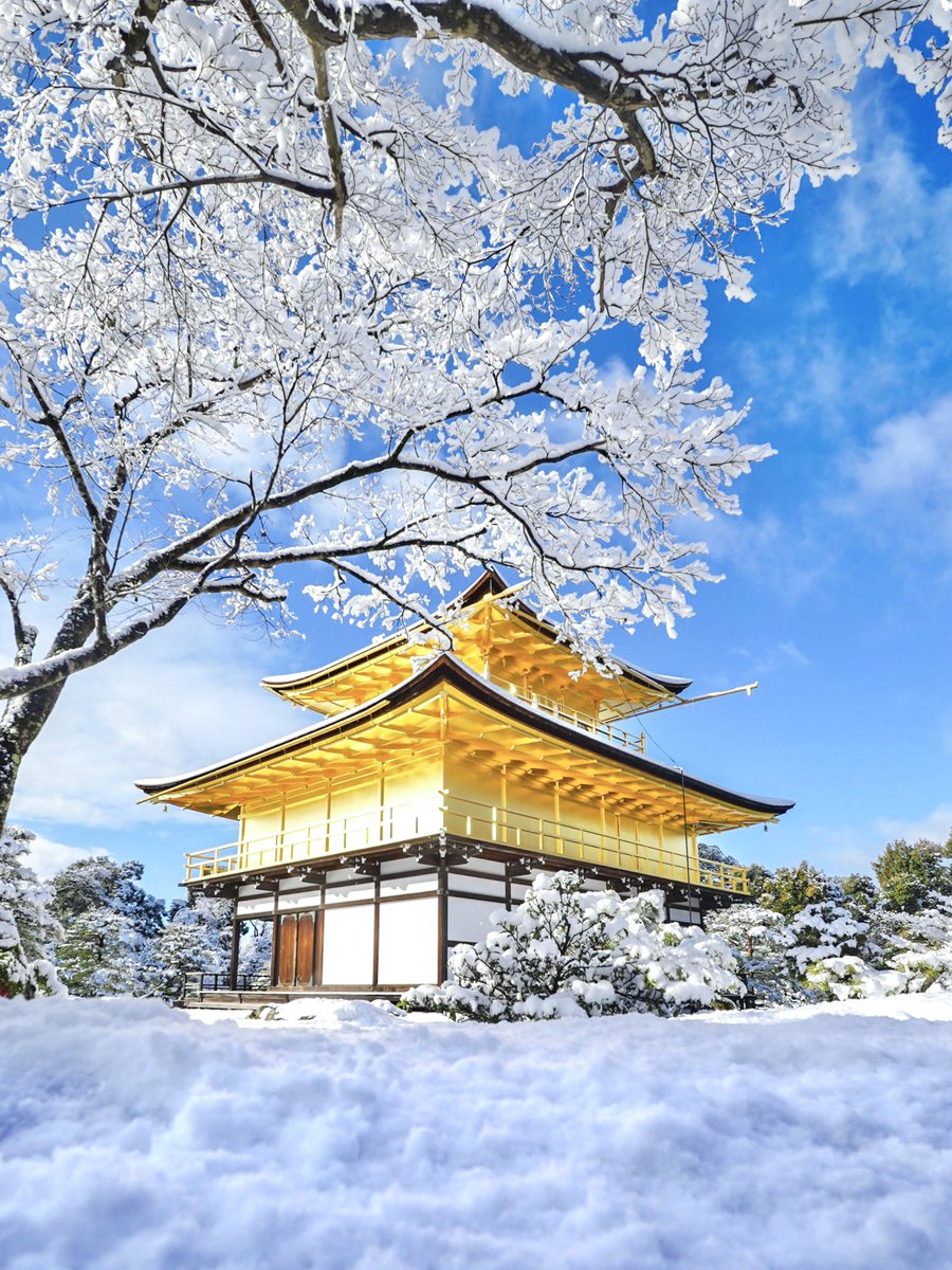 3m1ek's tweet photo. 全部現実の風景
#AIなんかに負けない写真撮ろうぜ https://t.co/GN8eULZSFA