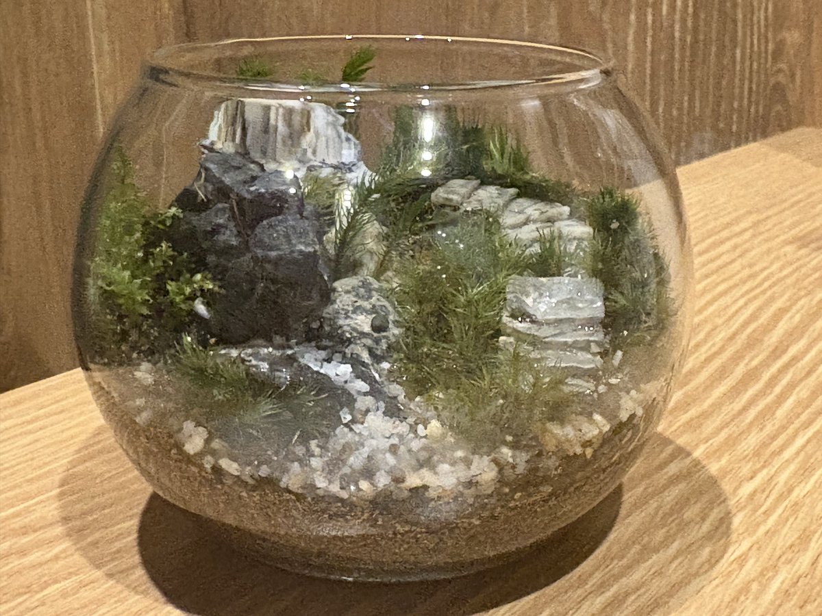 mi_nms777's tweet photo. 苔テラリウムなるものを教室で作って早一ヶ月…そのときにもらった余った苔、やっと使って自前の作品作ったぜ〜！
家で眠ってたお猪口とお土産に買った鳥取砂丘の砂のモアイストラップと石見銀山の小判ストラップを活用。
苔まだめっちゃ余ってる…どうしよう…
(2枚目は教室で作ったやつ) https://t.co/x9r96FlYvB