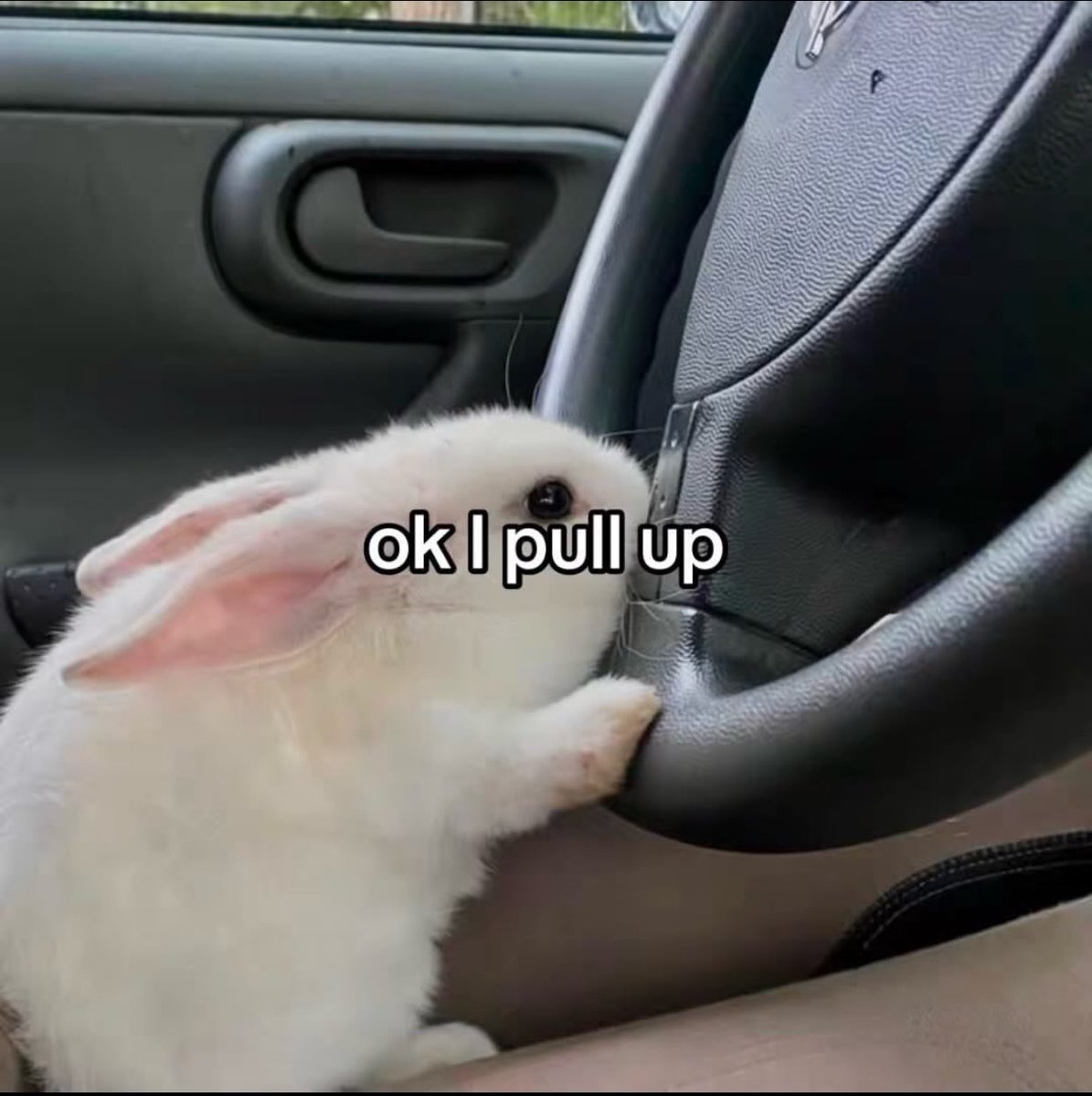 bunnyposting_ tweet picture