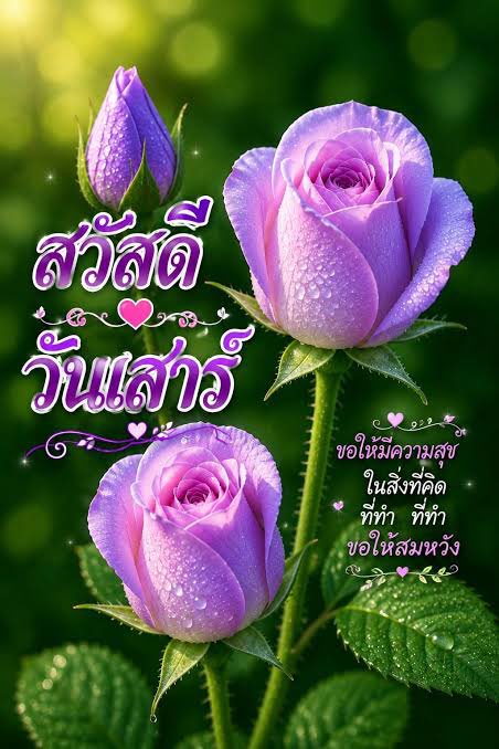 EWaraha's tweet photo. ตื่นกันยัง สุขกายสบายใจนะ 
อย่าลืมเปิดทีวี 

#ENGFAAuraRichxคุยแซ่บShow https://t.co/agyuz2EhzZ