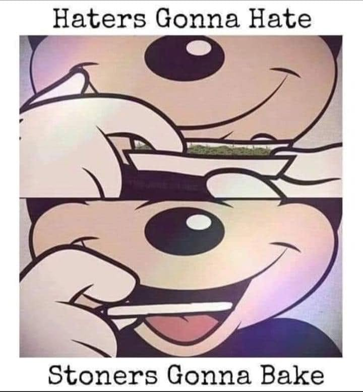SJsMemes420's tweet photo. https://t.co/ZjEYmBg6Dm