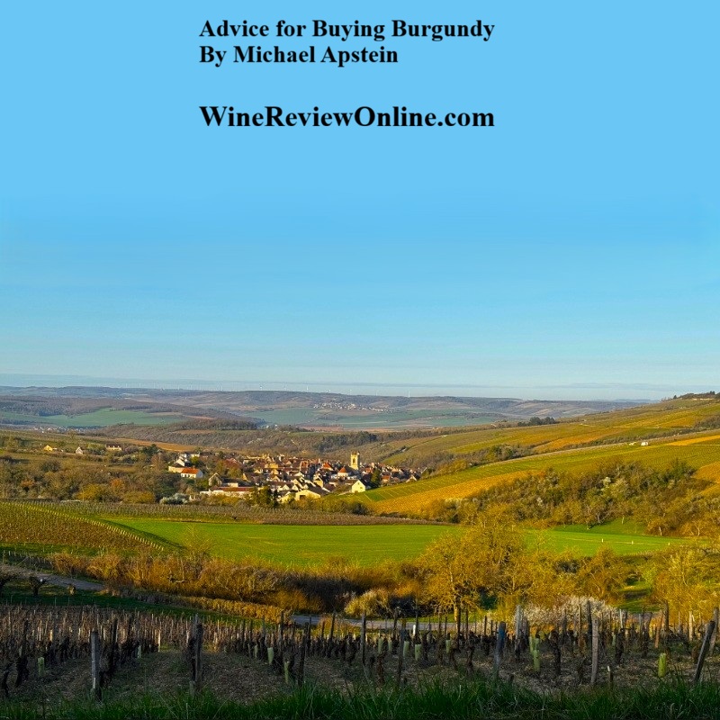 CriticsChall's tweet photo. More articles by award winning wine writer @MichaelApstein for @WineReviewOnlin are at https://t.co/P5XeVDQ9KH https://t.co/eZstDBy2Rm