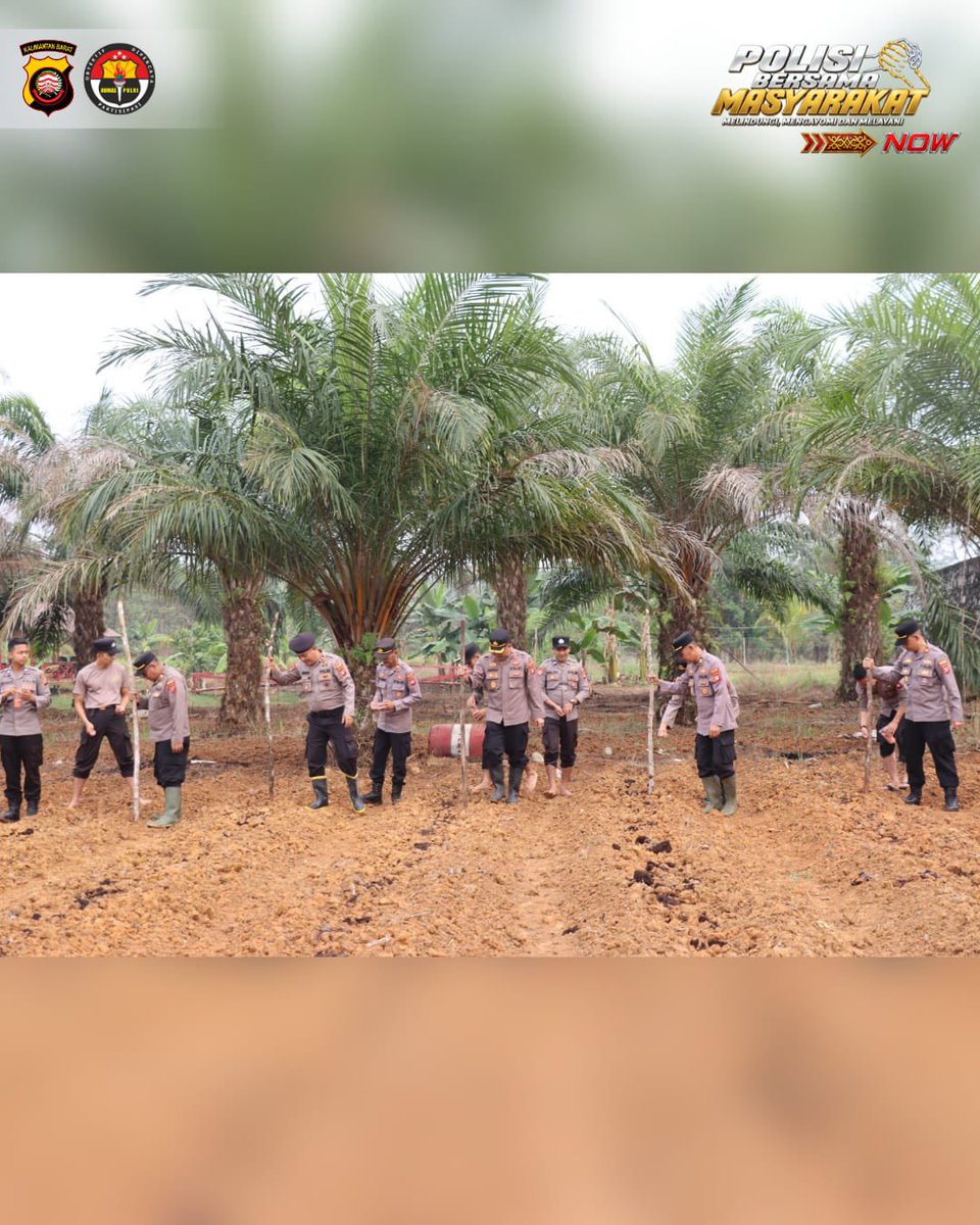 BidhumasKalbar's tweet photo. 🌽 BERSAMA PETANI, POLRES MELAWI PERKUAT SWASEMBADA PANGAN! 🌱👮‍♂️
Polres Melawi Polda Kalbar bersama petani binaan melaksanakan penanaman jagung hibrida di lahan milik Sutiono, Desa Tanjung Tengang, Kecamatan Belimbing, Kabupaten Melawi, Jumat (9/10/2026). https://t.co/FhrKNOoaTd