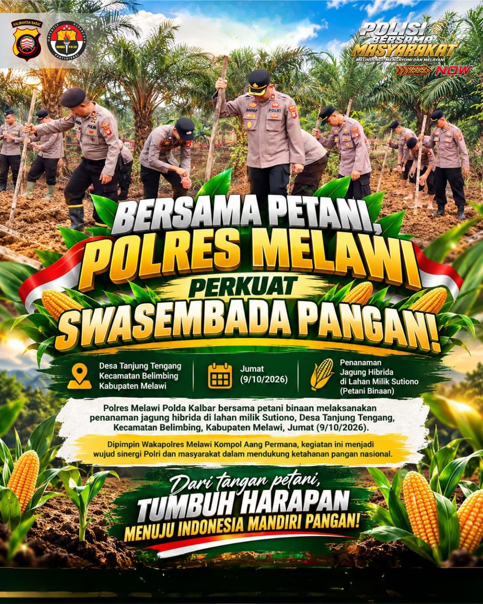 BidhumasKalbar's tweet photo. 🌽 BERSAMA PETANI, POLRES MELAWI PERKUAT SWASEMBADA PANGAN! 🌱👮‍♂️
Polres Melawi Polda Kalbar bersama petani binaan melaksanakan penanaman jagung hibrida di lahan milik Sutiono, Desa Tanjung Tengang, Kecamatan Belimbing, Kabupaten Melawi, Jumat (9/10/2026). https://t.co/FhrKNOoaTd