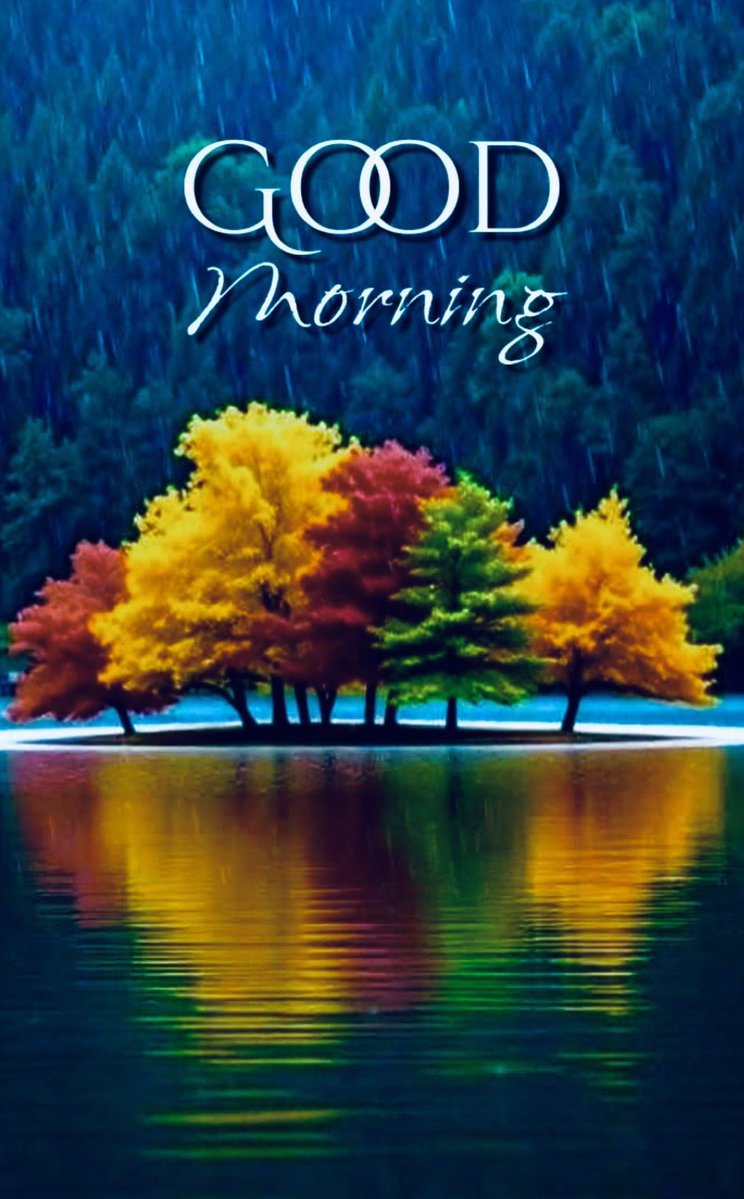 Mohseno753's tweet photo. @amalfahmygm https://t.co/TF4IuBapRx