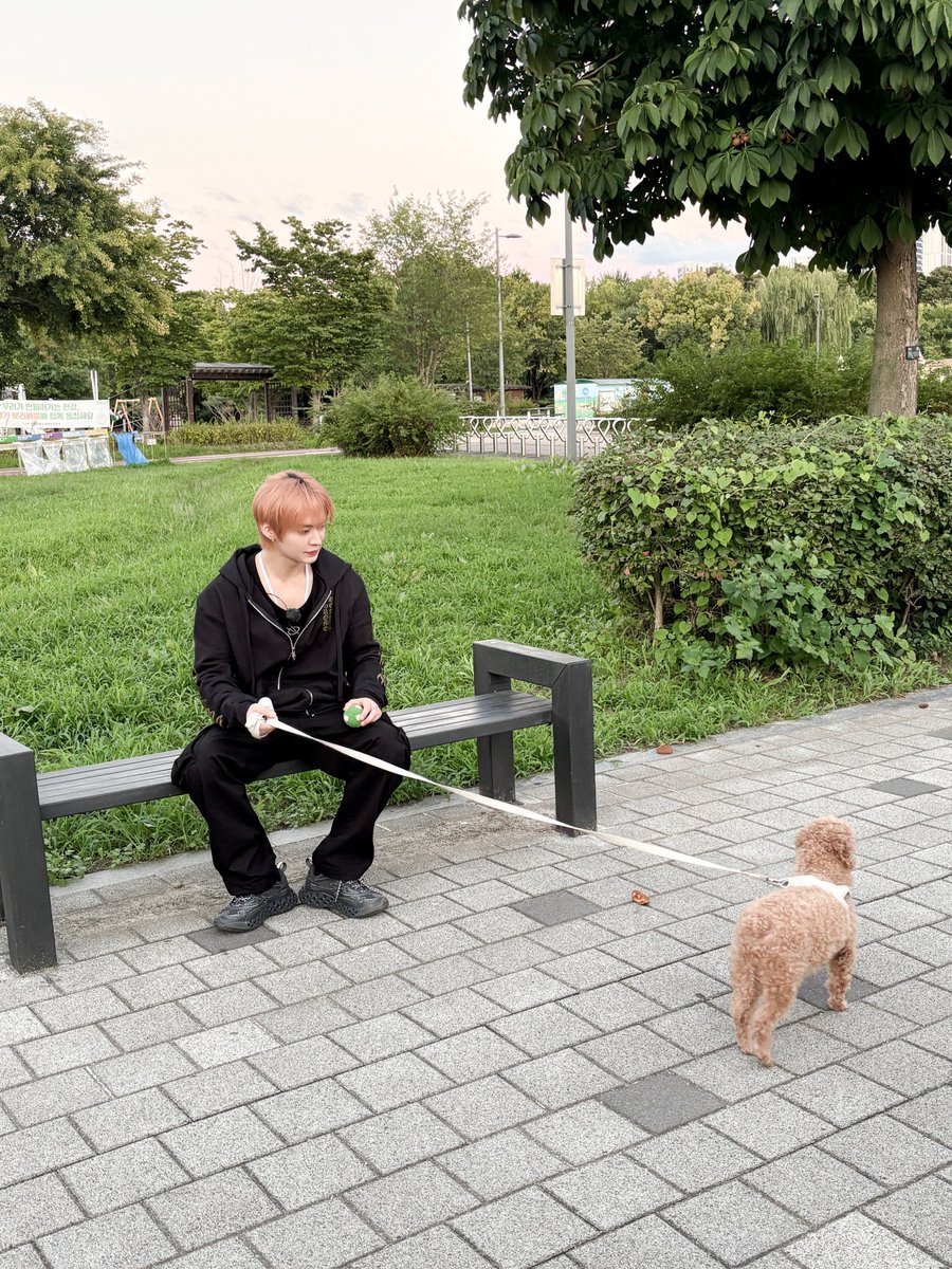 iS2U333's tweet photo. 사진만봐도  개랑 안친해보임  보통 사람이강아지목줄쥐고 벤치에앉아잇으면   아 산책하다가 힘들어서 쉬나보다~  라는감상이들어마땅한데   👇🏻이사진은  진짜얼떨결에  강아지 맡게 된 사람 같어..(니가ㄹㄴ를알아서그런거라는말은ㄴㄴ) https://t.co/Rqvwa92gGw