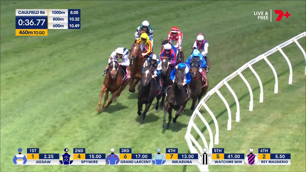 A live horse racing broadcast from Caulfield R6 showing horses approaching with 460m to go, displaying leaderboard with Jigsaw in 1st, Spywire in 2nd, Grand Largency in 3rd, Inkaruna in 4th, Watchme Win in 5th, and Rey Magnerio in 6th.