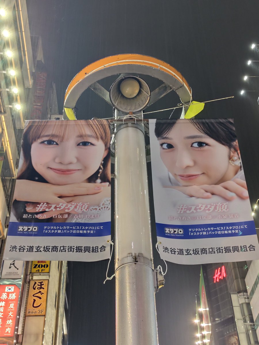 kocccha0609's tweet photo. とき宣のみんな😊
#スタダ顔 https://t.co/kHorf0zcwp