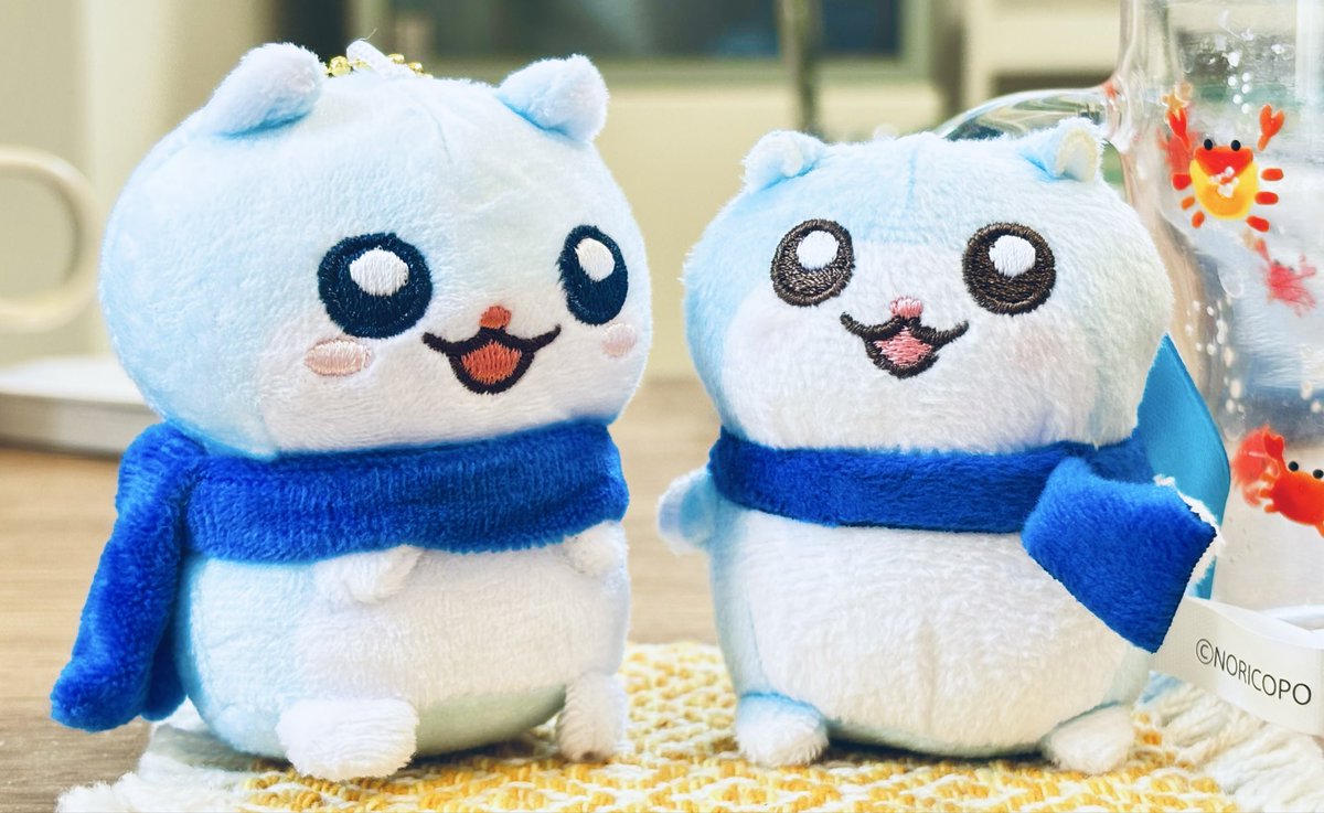 sprham9's tweet photo. ユキハムちゃん、ユキハムちゃんだよ、2匹ともかわいいね https://t.co/bnHPcPsS8g