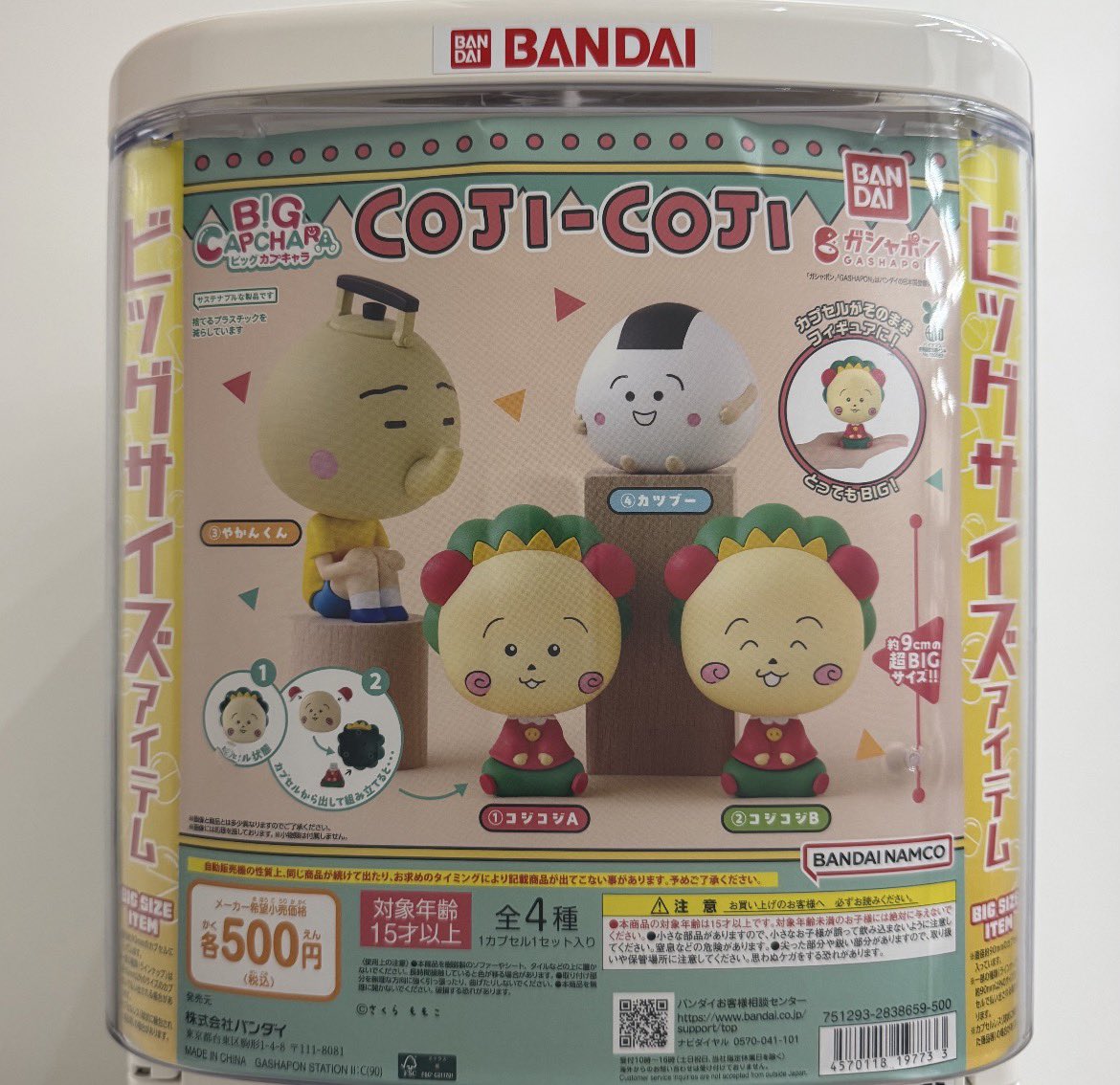 高崎オーパの入荷情報の写真