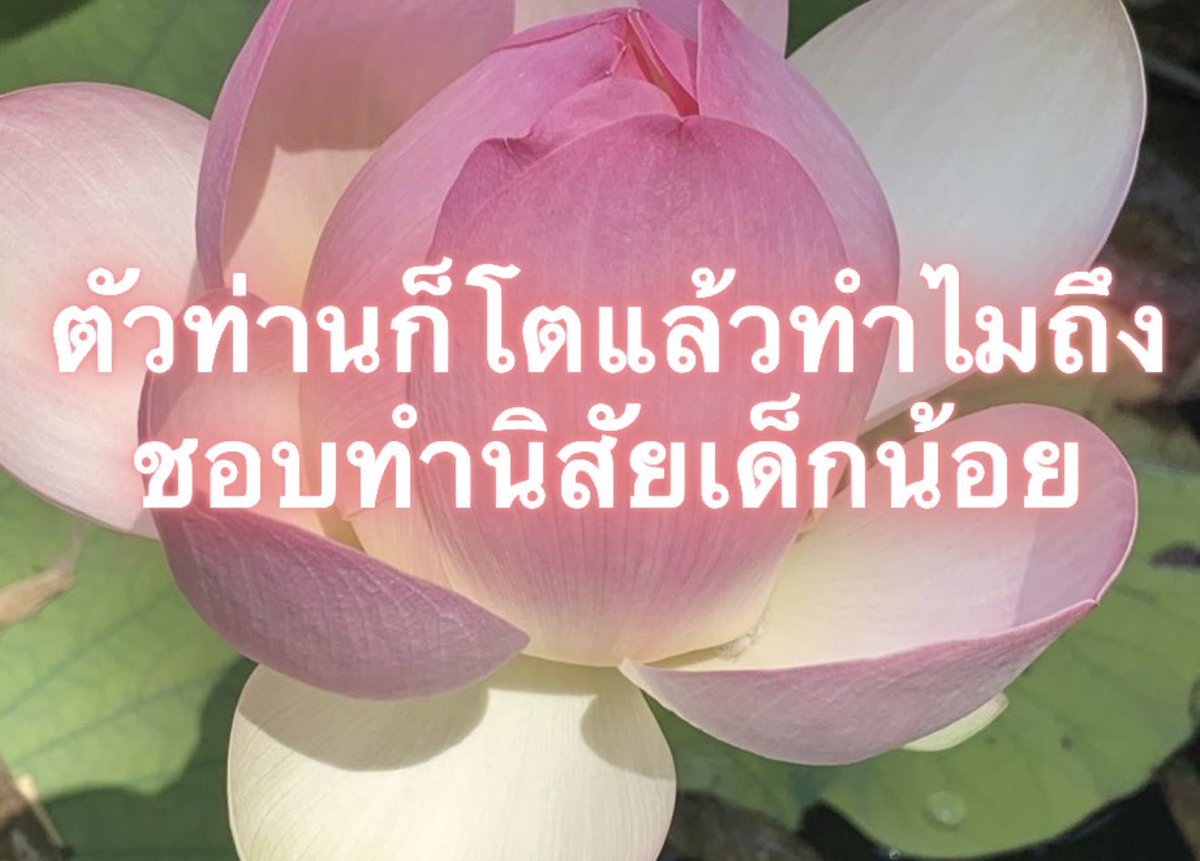 Iaunza's tweet photo. ข้าไม่เข้าใจ https://t.co/GjjNiaJnDf