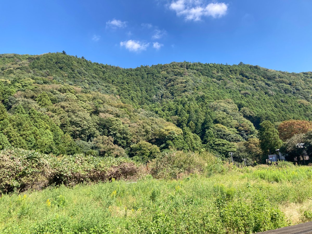 yataka_k's tweet photo. よく晴れたので、近場散策。 https://t.co/ZLOsJuk8JR