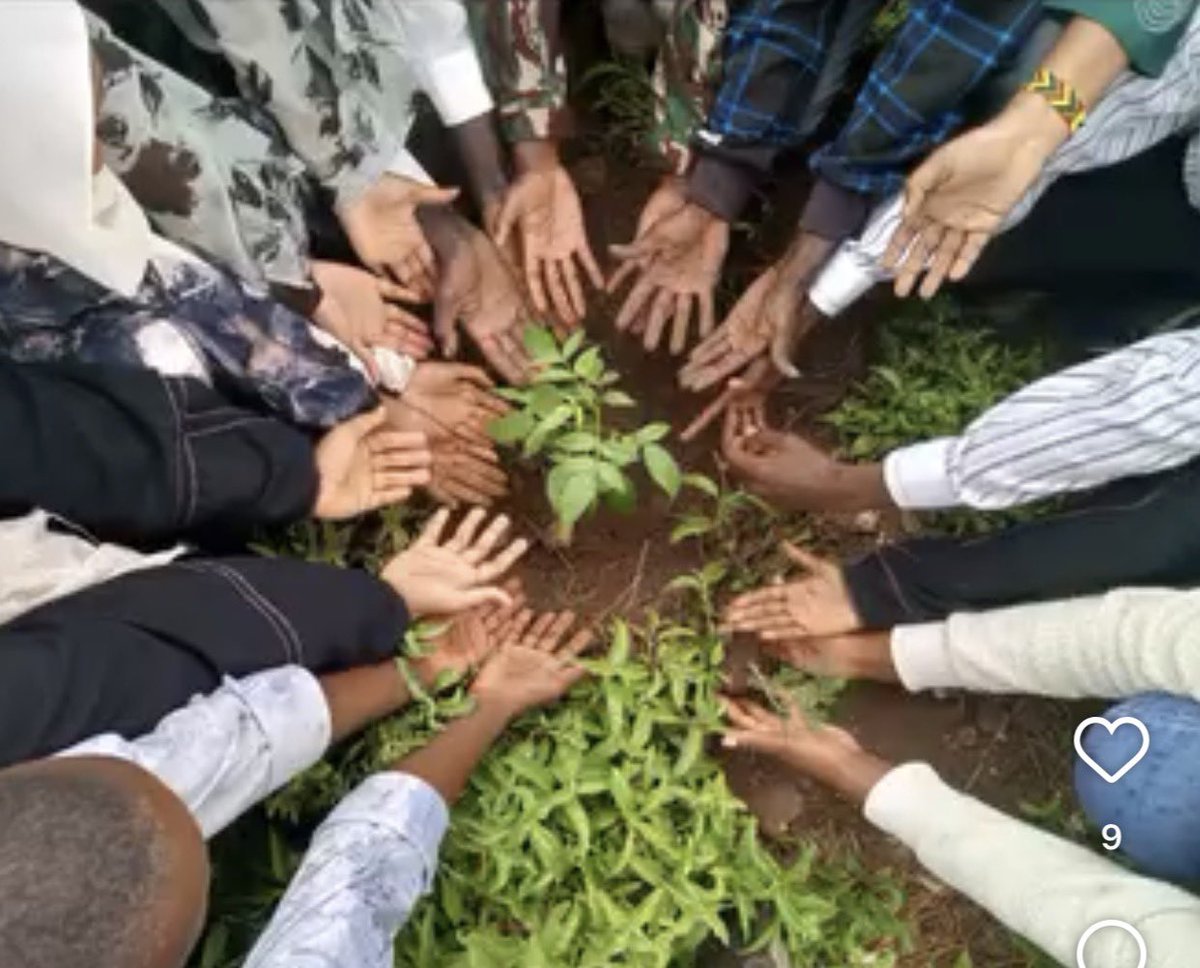 MariamAbdiR's tweet photo. Happy Mazingira Day! 

Today, we celebrate our environment and remind ourselves that protecting nature is everyone’s responsibility. Every tree we plant, every piece of waste we manage responsibly, and every action we take to conserve our natural resources brings us . https://t.co/13WyvX5ZGe