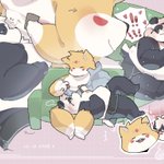 Photo by 熊貓醬油膏 (@rwaaa_00)
