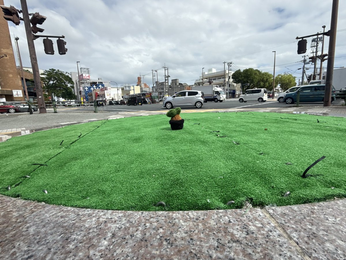 japanapei's tweet photo. 胡屋十字路

台風で折れた木の代わりにガジュマルのぬいぐるみ置いてみました。

小さすぎたので、はやく以前の木に帰ってきて欲しいです☺️ https://t.co/IGwZO2sgMg