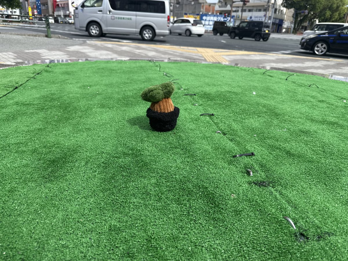 japanapei's tweet photo. 胡屋十字路

台風で折れた木の代わりにガジュマルのぬいぐるみ置いてみました。

小さすぎたので、はやく以前の木に帰ってきて欲しいです☺️ https://t.co/IGwZO2sgMg