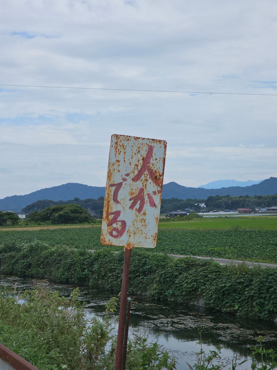 HMA04's tweet photo. 「奥さんこの辺ヒトが出るんですって」「怖いわねぇ早く駆除してくれないかしら」 https://t.co/GdI8Xpghhs