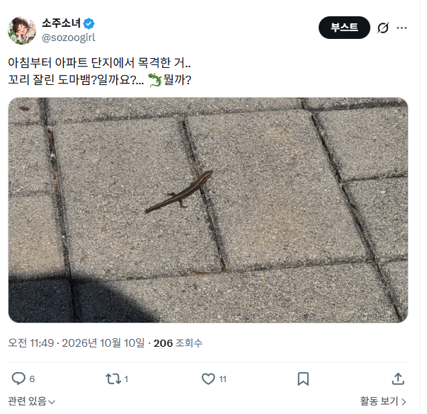 sozoogirl's tweet photo. 뭔가..RT도 많이 해주시면 좋겠다는 생각이 드는데....
답글수랑 마음찍는거랑... 알티랑 항상 숫자가 다 다달라서
그중 RT가 가장 적어서...
약간 어떻게 해야할지 고민이 돼요... ㅠㅠ https://t.co/nJasg2LkLE
