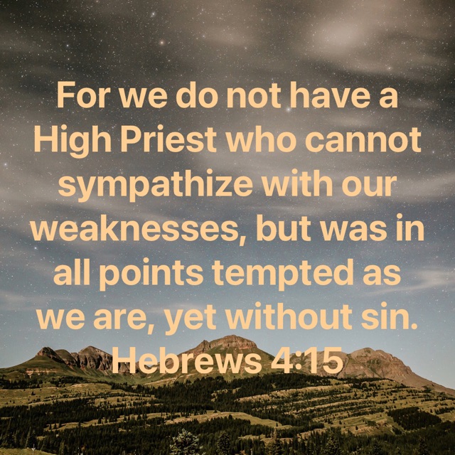 tweets_mb's tweet photo. #HighPriest #Jesus #Sympathize #Sin https://t.co/aeQwHih9s3