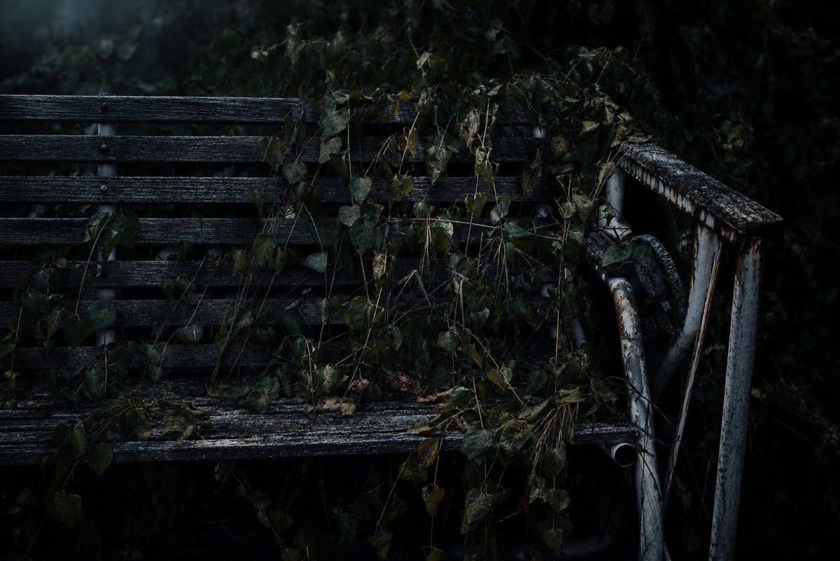 sandraRspalding's tweet photo. Just a photo of a bench I took. I have been working with Adobe again and having fun.

#darkphotography #Photobyme https://t.co/pPBW5sjLVx