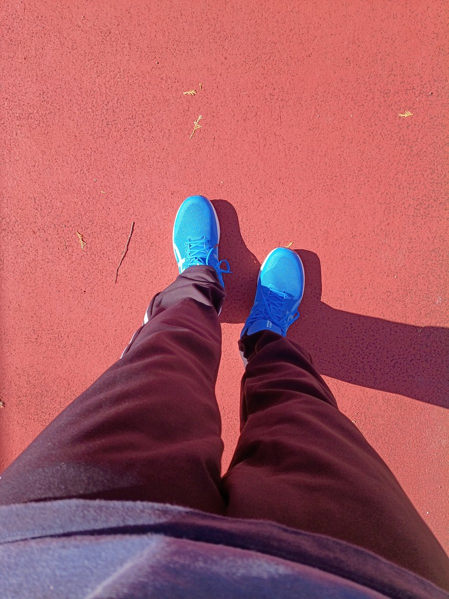 hanehanemon's tweet photo. 新しいASICSのランニングシューズを履いて五稜郭公園をウォーキングしてきたー🚶
少し暑いくらいの気候です！ https://t.co/8d9ub81ykB